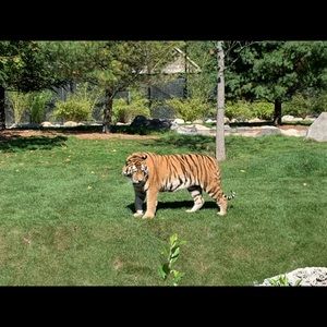 Meet your Posher, Roxanne